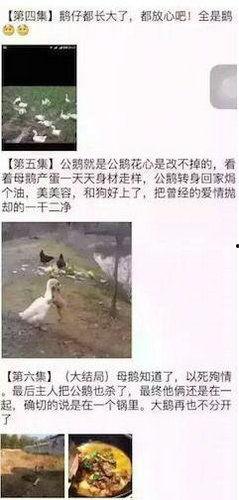 网红大鹅 潜规则是什么意思,娱乐圈的生存法则